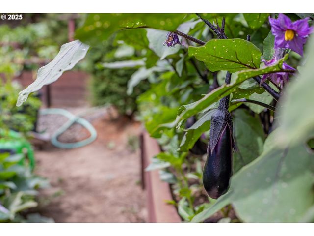 1873 E CEDAR St, Myrtle Point, OR 97458