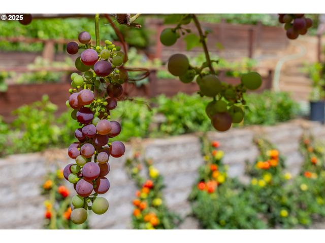 1873 E CEDAR St, Myrtle Point, OR 97458