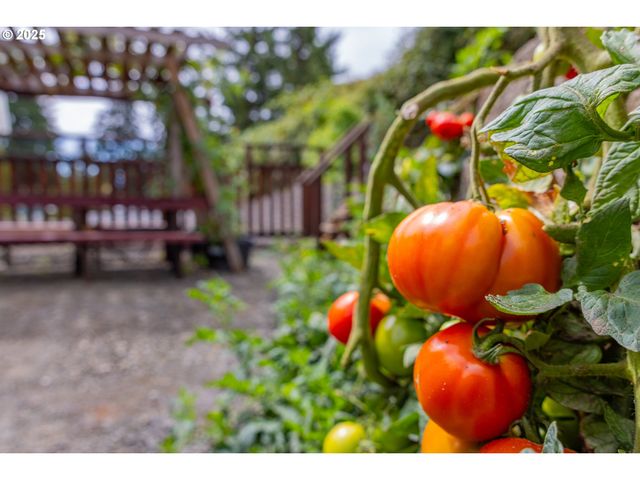 1873 E CEDAR St, Myrtle Point, OR 97458