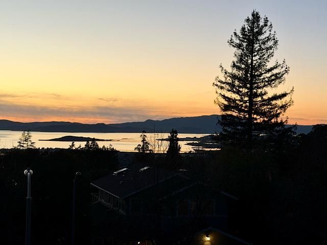 225 Arlington Ave., Kensington, CA 94707