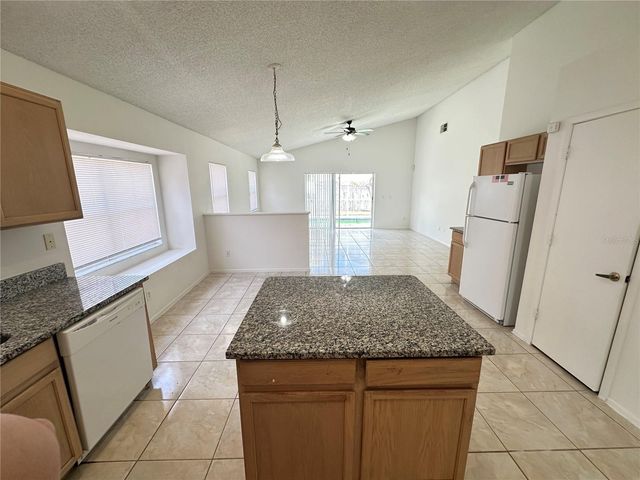 311 DOWNING CIRCLE, Davenport, FL 33897