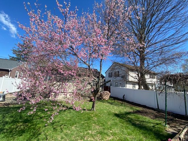 49 Hollace Street, Waltham, MA 02453