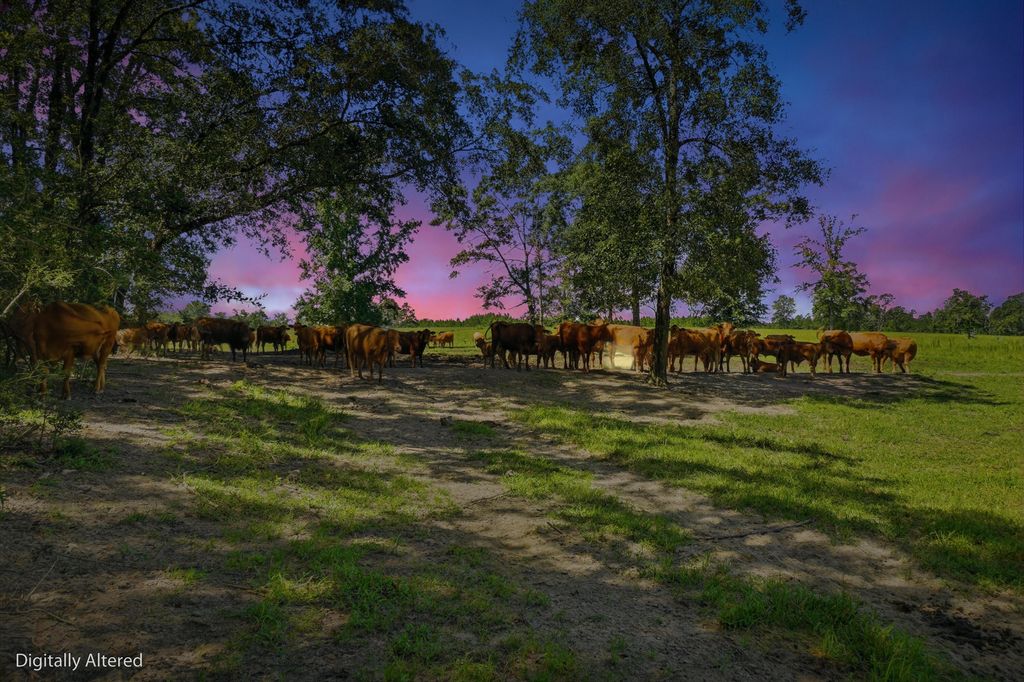 Image 1 of property listing at 520 Acres US Hwy 331 N, Defuniak Springs, FL 32433