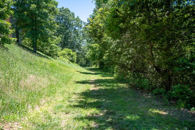 26 Sinatra Court 1, Branson West, MO 65737