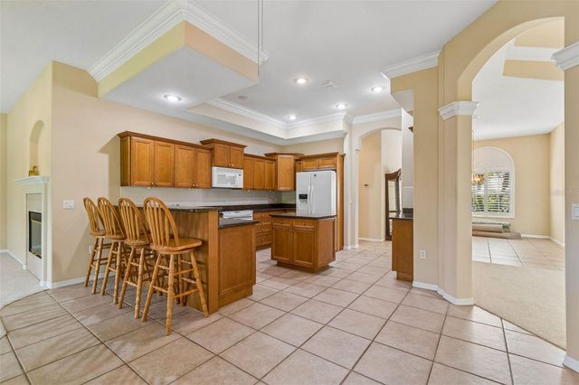 7424 MELOGOLD CIRCLE, Land O Lakes, FL 34637