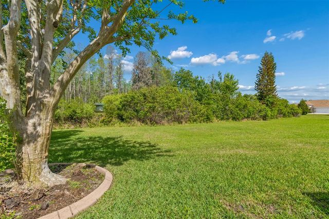 7424 MELOGOLD CIRCLE, Land O Lakes, FL 34637