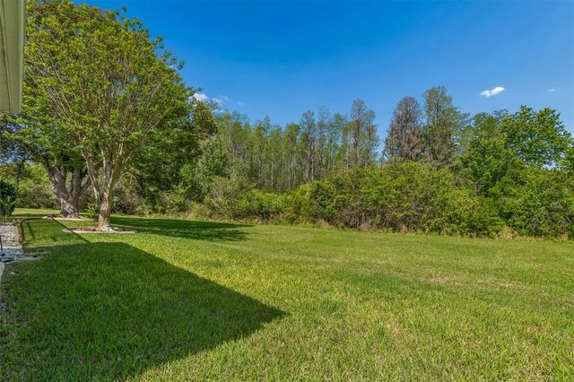 7424 MELOGOLD CIRCLE, Land O Lakes, FL 34637
