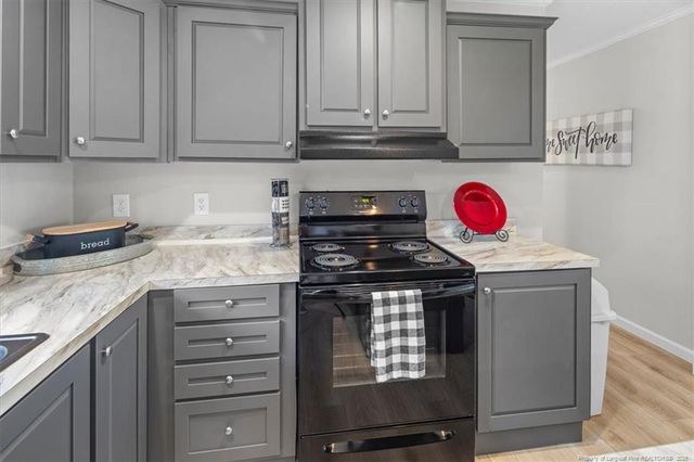 626 Ballance Farm Road, Saint Pauls, NC 28384