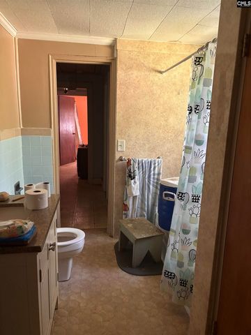 1806 Beechcreek Road, Lexington, SC 29072