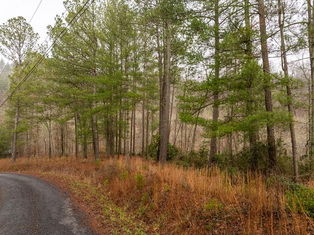 Lot 1742 Meadow Lane, Talking Rock, GA 30175