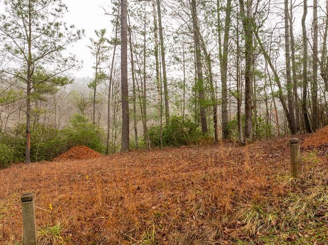 Lot 1742 Meadow Lane, Talking Rock, GA 30175
