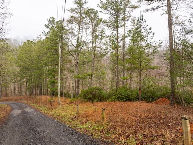 Lot 1742 Meadow Lane, Talking Rock, GA 30175