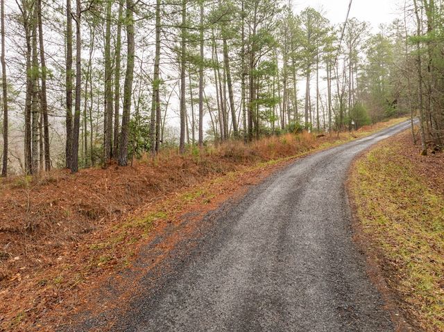 Lot 1742 Meadow Lane, Talking Rock, GA 30175