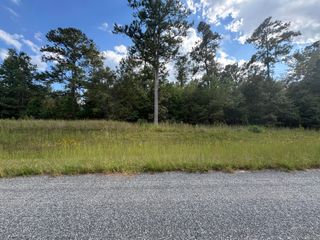0 Thankful Church Road, Lincolnton, GA 30817