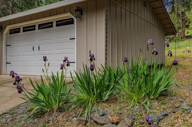 16425 Carolyn Way, Pioneer, CA 95666