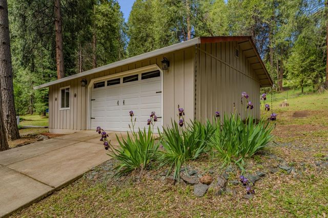 16425 Carolyn Way, Pioneer, CA 95666