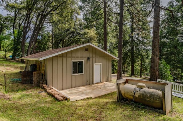 16425 Carolyn Way, Pioneer, CA 95666
