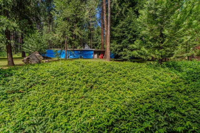 16425 Carolyn Way, Pioneer, CA 95666
