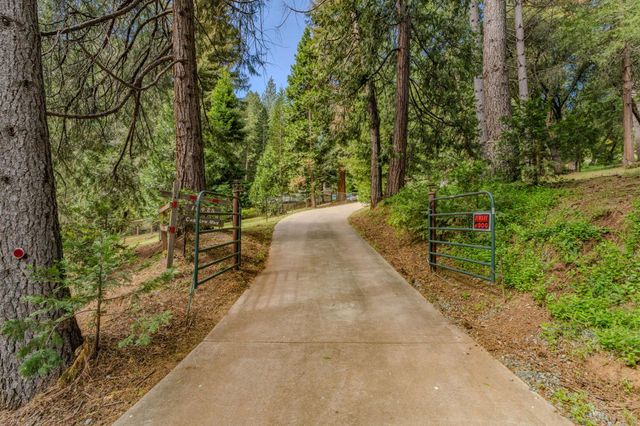 16425 Carolyn Way, Pioneer, CA 95666