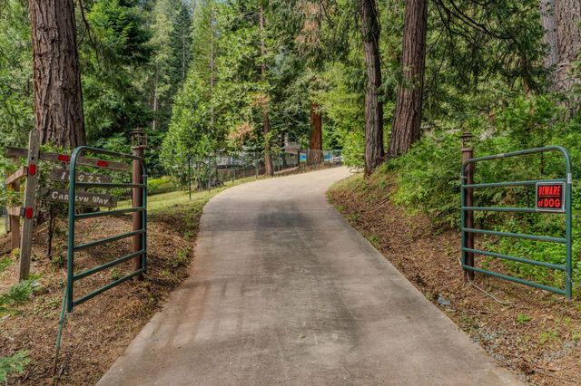 16425 Carolyn Way, Pioneer, CA 95666