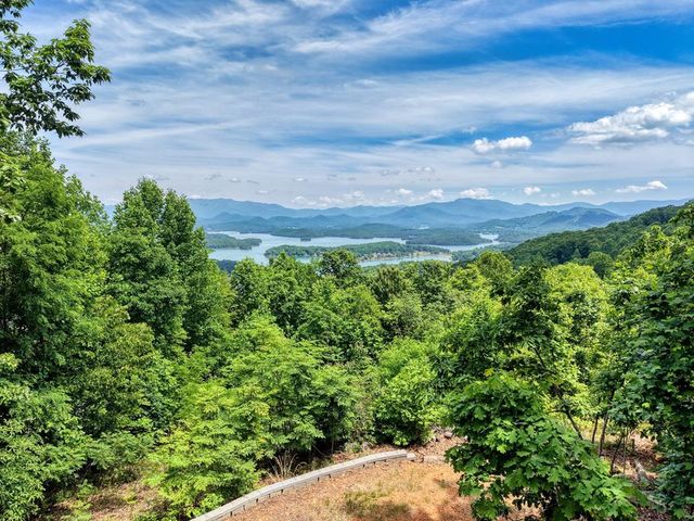 860 Ramey Mountain Road, Hiawassee, GA 30546