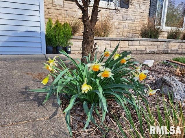 1504 N 5TH Street, Pekin, IL 61554