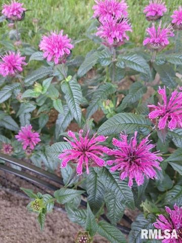 1504 N 5TH Street, Pekin, IL 61554