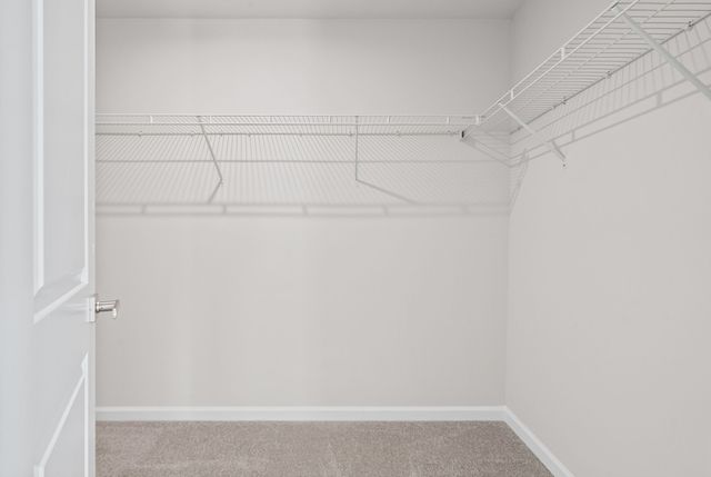 1139 Lisenbee Way, Clarksville, TN 37042