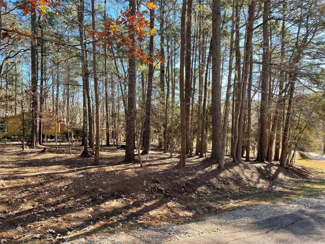 0 Cherry Hill Drive, Coldspring, TX 77331