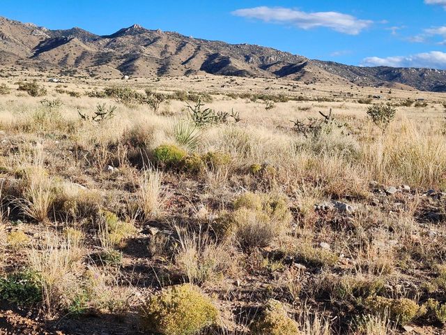 Tarugo Road, Belen, NM 87002