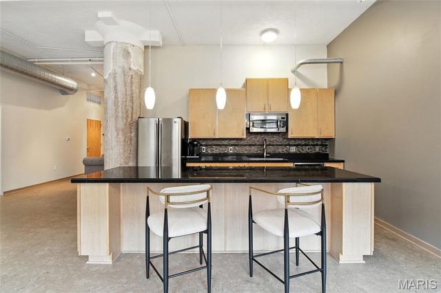 1627 Locust Street 202, St Louis, MO 63103