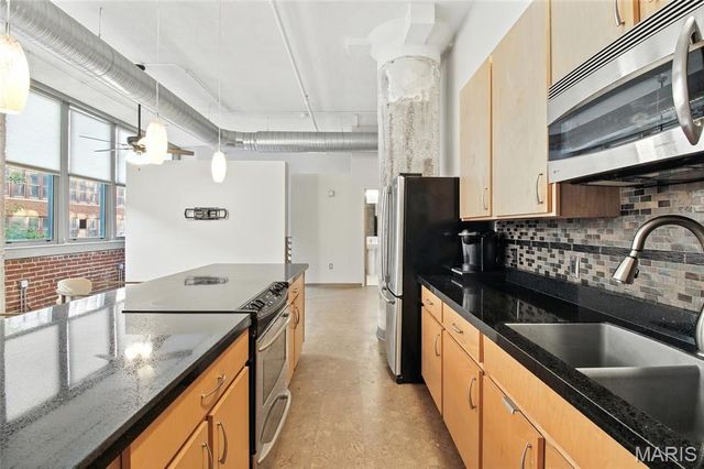 1627 Locust Street 202, St Louis, MO 63103