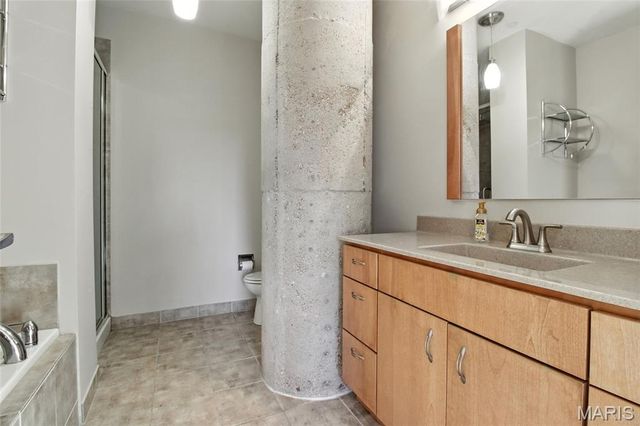 1627 Locust Street 202, St Louis, MO 63103