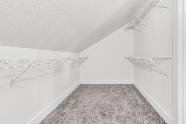 368 Cardinal Creek, Clarksville, TN 37040