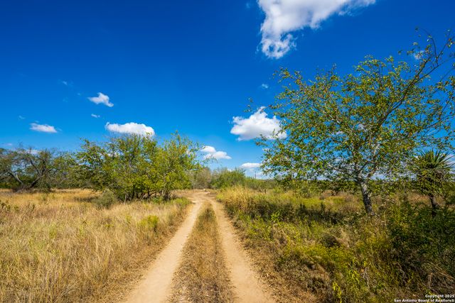 CR 652 Cr 652, Devine, TX 78016