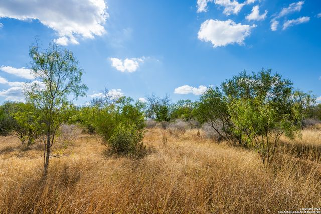CR 652 Cr 652, Devine, TX 78016