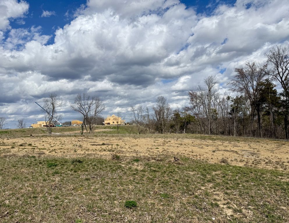 9905 Amarosa Ct, Brentwood, TN 37027