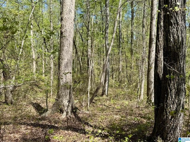 Tract 7 COUNTY ROAD 268, Roanoke, AL 36274