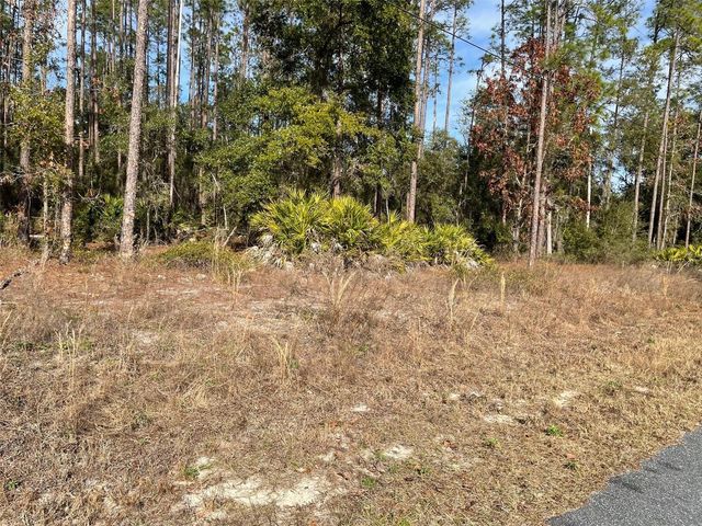 LOT 23 SW TIGER LAKE BOULEVARD W, Dunnellon, FL 34431