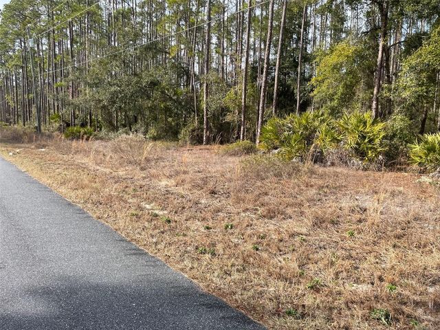 LOT 23 SW TIGER LAKE BOULEVARD W, Dunnellon, FL 34431