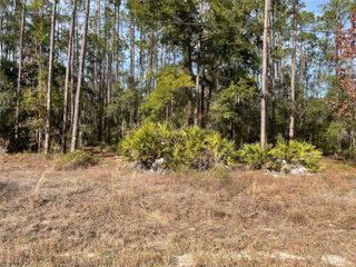 LOT 23 SW TIGER LAKE BOULEVARD W, Dunnellon, FL 34431