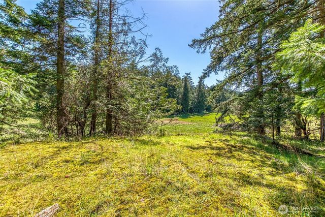 0 Tibbs Road, Shaw Island, WA 98286
