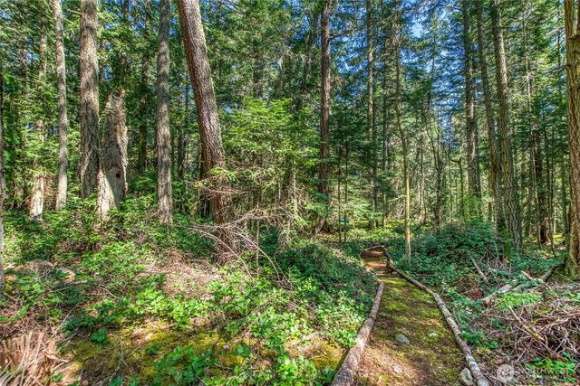 0 Tibbs Road, Shaw Island, WA 98286