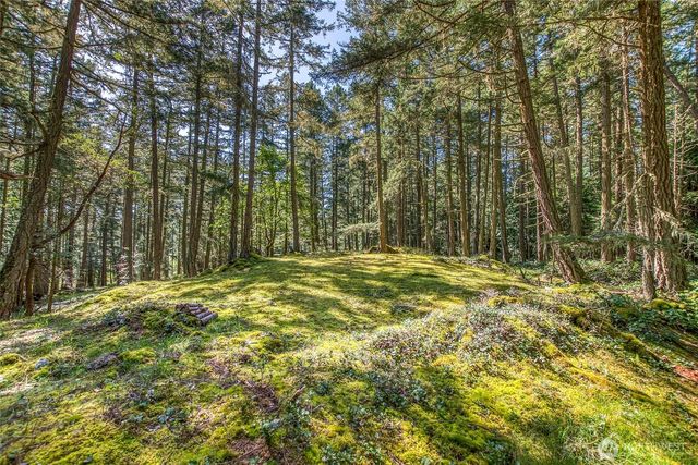 0 Tibbs Road, Shaw Island, WA 98286
