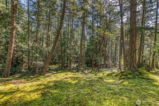 0 Tibbs Road, Shaw Island, WA 98286