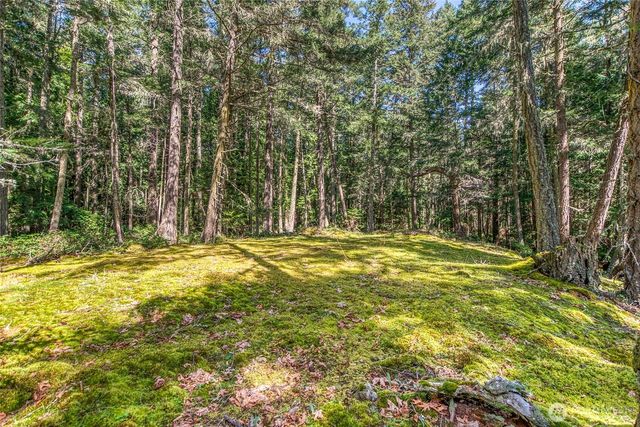 0 Tibbs Road, Shaw Island, WA 98286