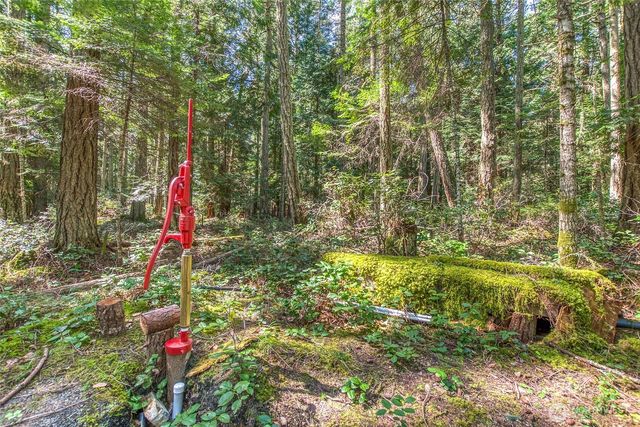 0 Tibbs Road, Shaw Island, WA 98286