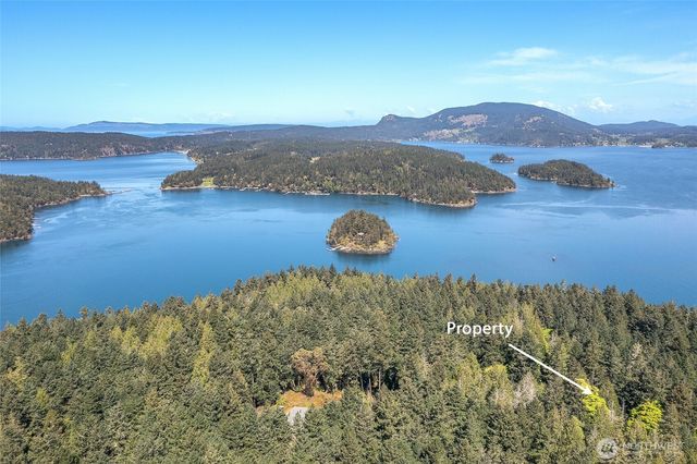 0 Tibbs Road, Shaw Island, WA 98286