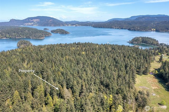 0 Tibbs Road, Shaw Island, WA 98286