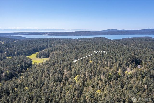 0 Tibbs Road, Shaw Island, WA 98286